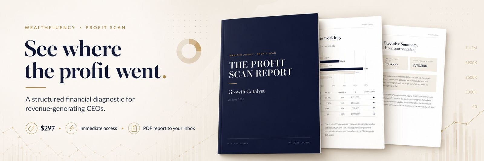 Wealthfluency Profit Scan. See where the profit went. A structured financial diagnostic for revenue-generating CEOs. $297, immediate access, PDF report to your inbox. The Profit Scan Report cover shown with inside pages.